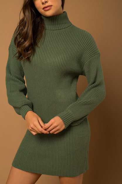 Turtle Neck Balloon Sleeve Sweater Dress