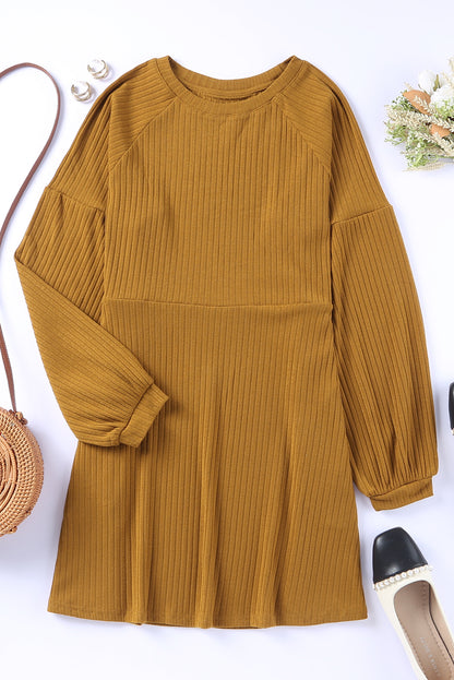 Orange Casual Round Neck Ribbed Knit Short Dress