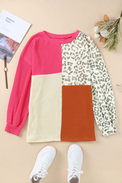 Cheetah Print Color Block Casual Pullover Long Sleeve Top