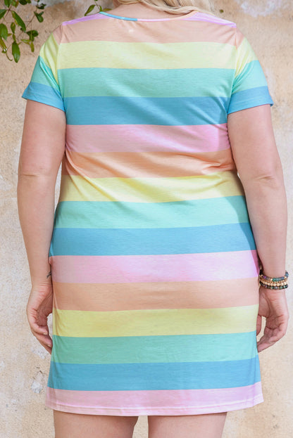 Multicolor Colorblock Pocketed V Neck T-shirt Dress