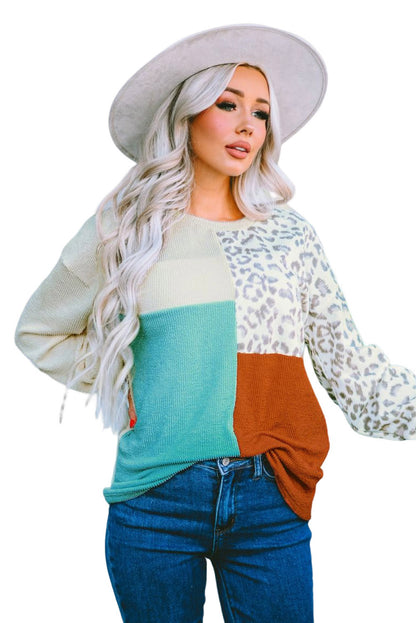 Cheetah Print Color Block Casual Pullover Long Sleeve Top