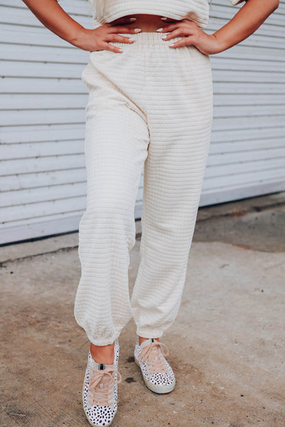 Rose Red Textured Cropped Tee and Jogger Pants Set