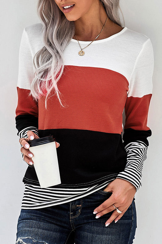 Color Block Stripes Trim Patchwork Casual Textured Long Sleeve Top