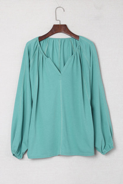 Rosy Casual Plicated Detail V Neck Blouse