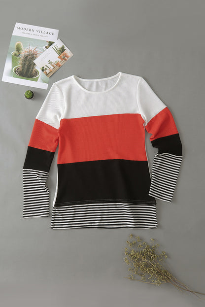 Color Block Stripes Trim Patchwork Casual Textured Long Sleeve Top