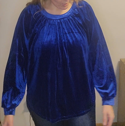 Umgee blue Velvet top