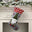 Christmas Stocking Hanging Widget